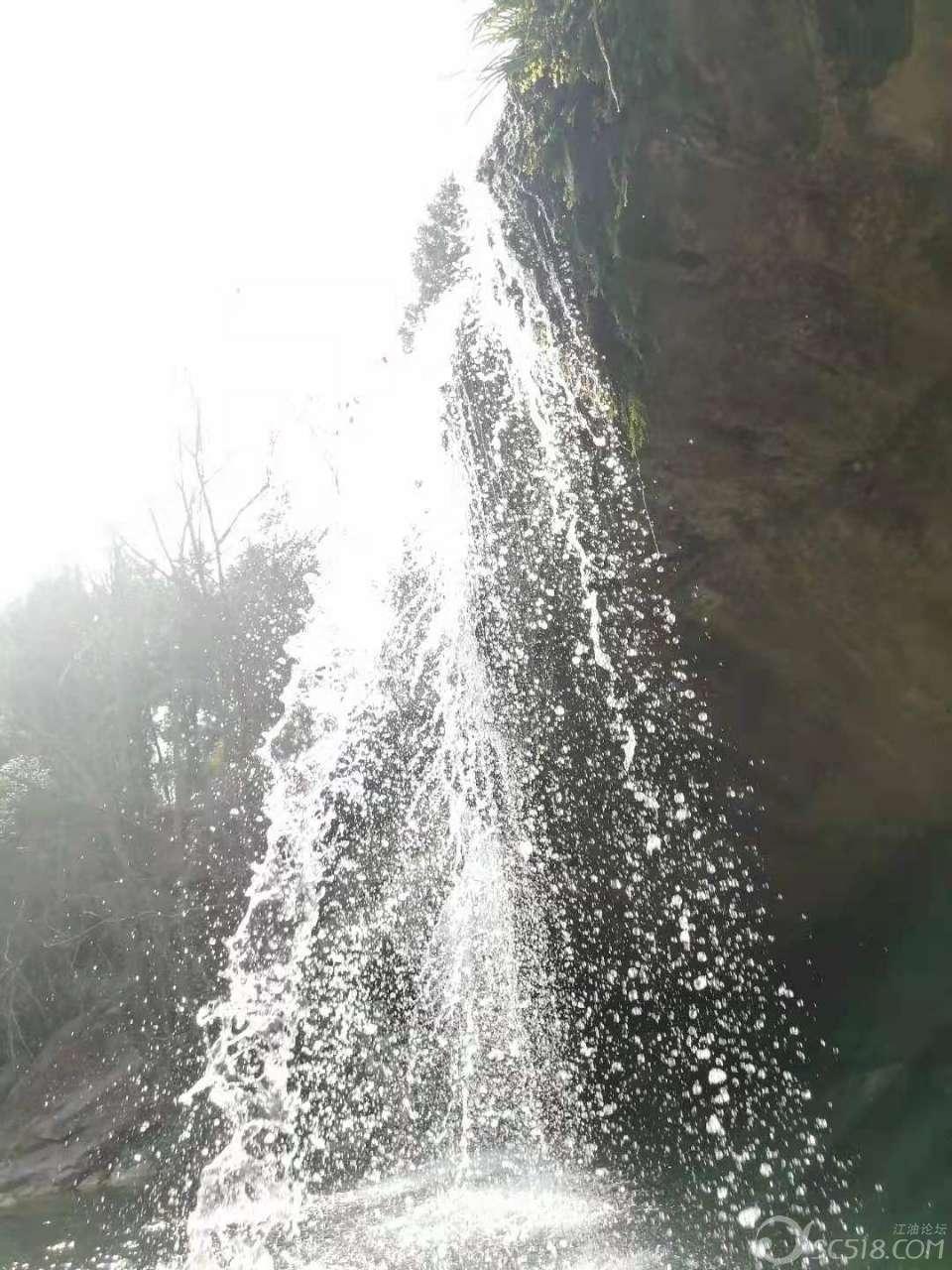 保护僵尸火种