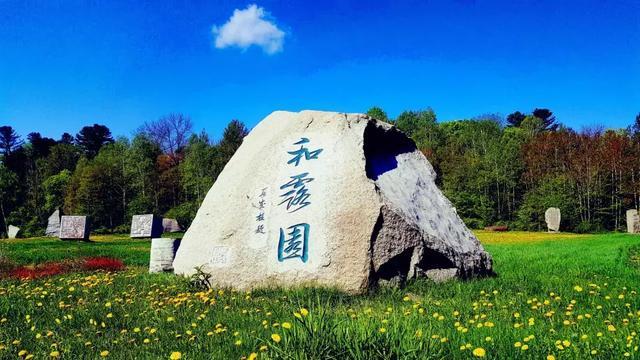 美人鱼游玩
